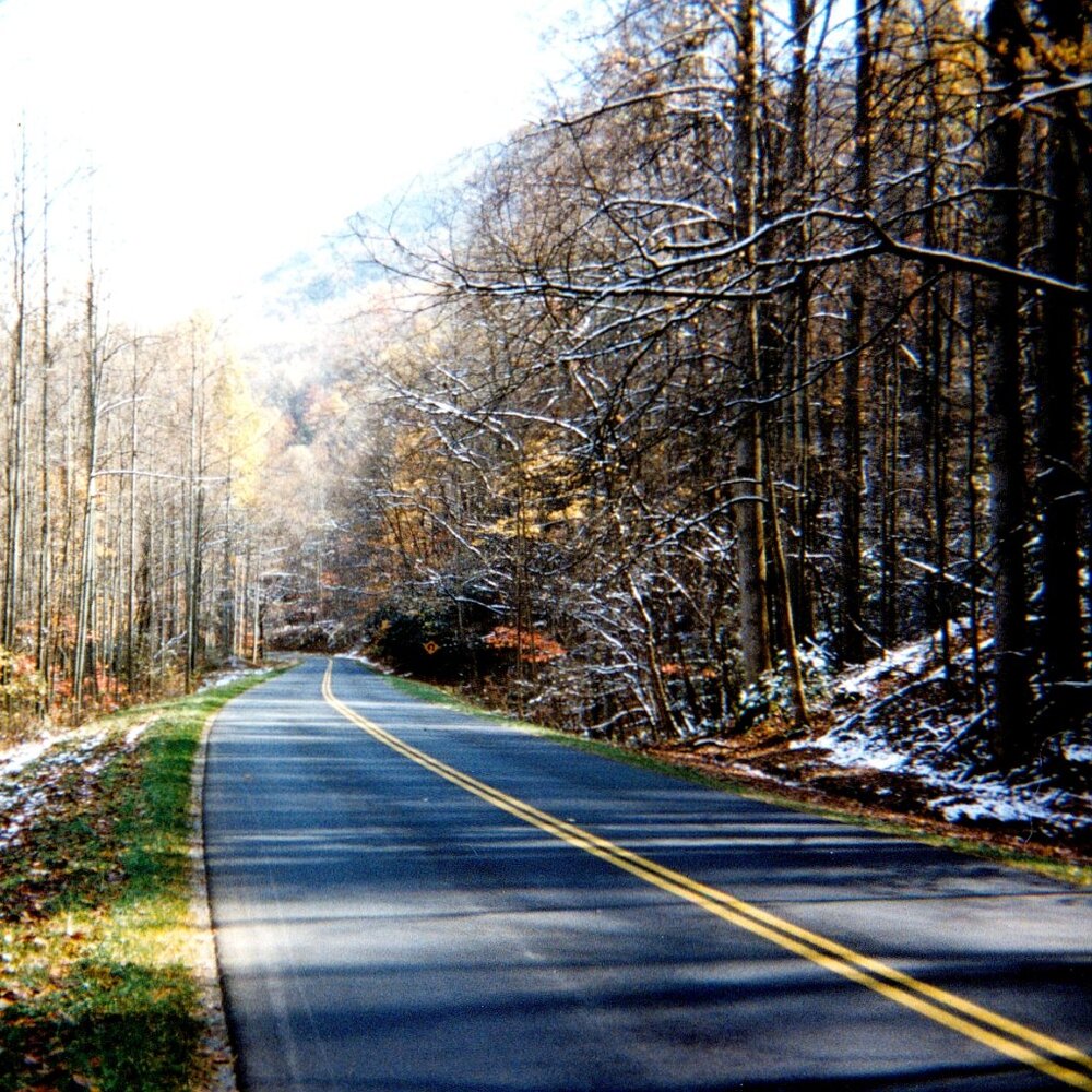 Meet your Posher, Shelley